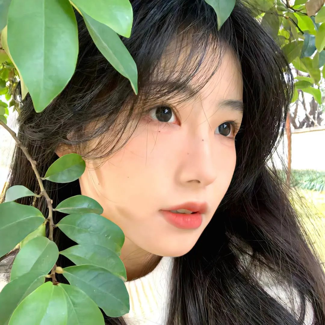 碧庐冤孽